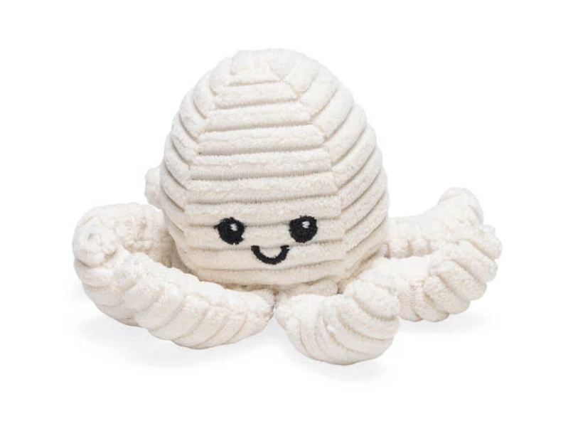 Octopus Nome